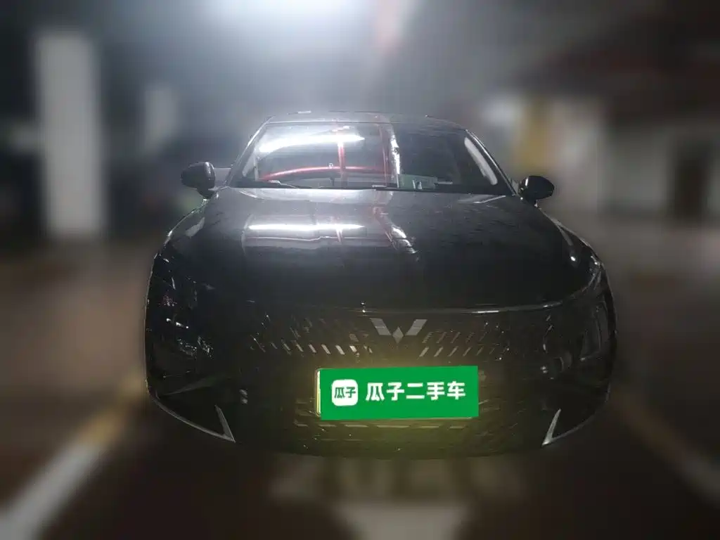 Wuling Starlight 2024