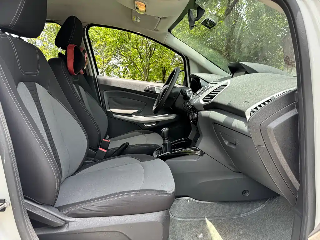 Ford Ecosport 2013 — фото 18