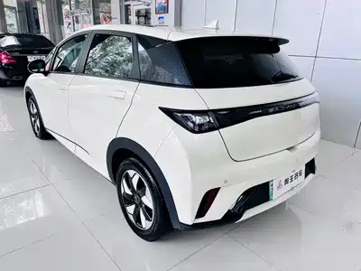 BYD Dolphin 2024