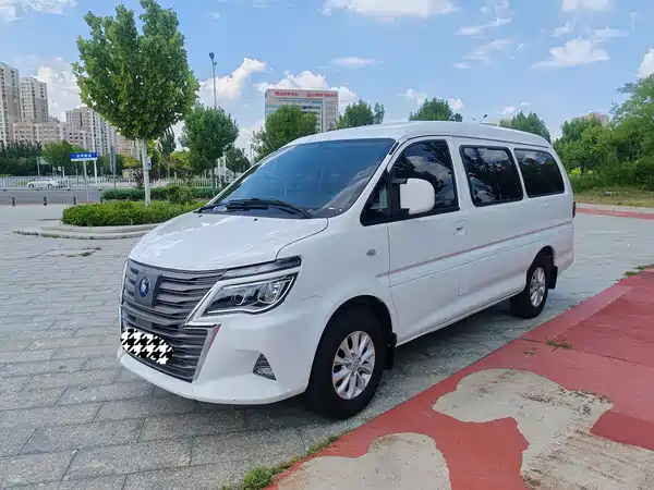 Dongfeng Lingzhi New Energy 2023