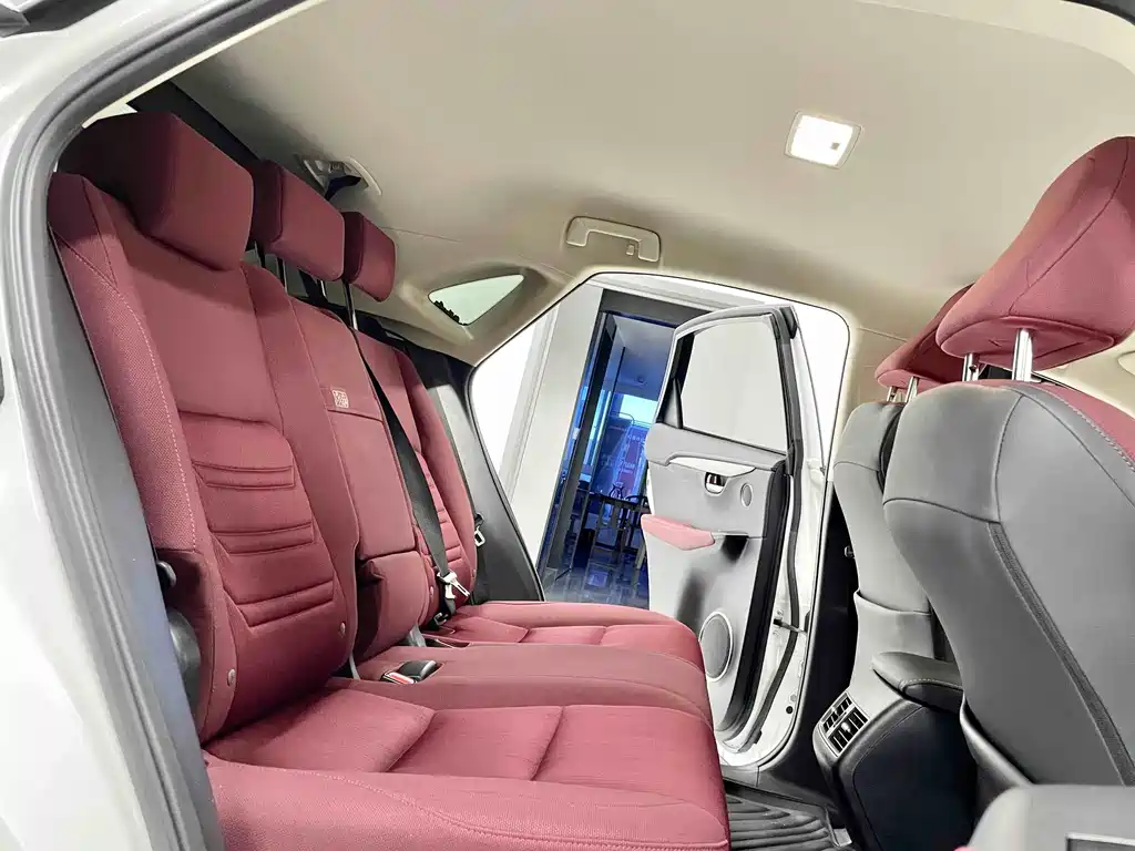 Lexus NX 2020