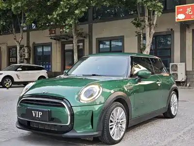 MINI MINI 2021