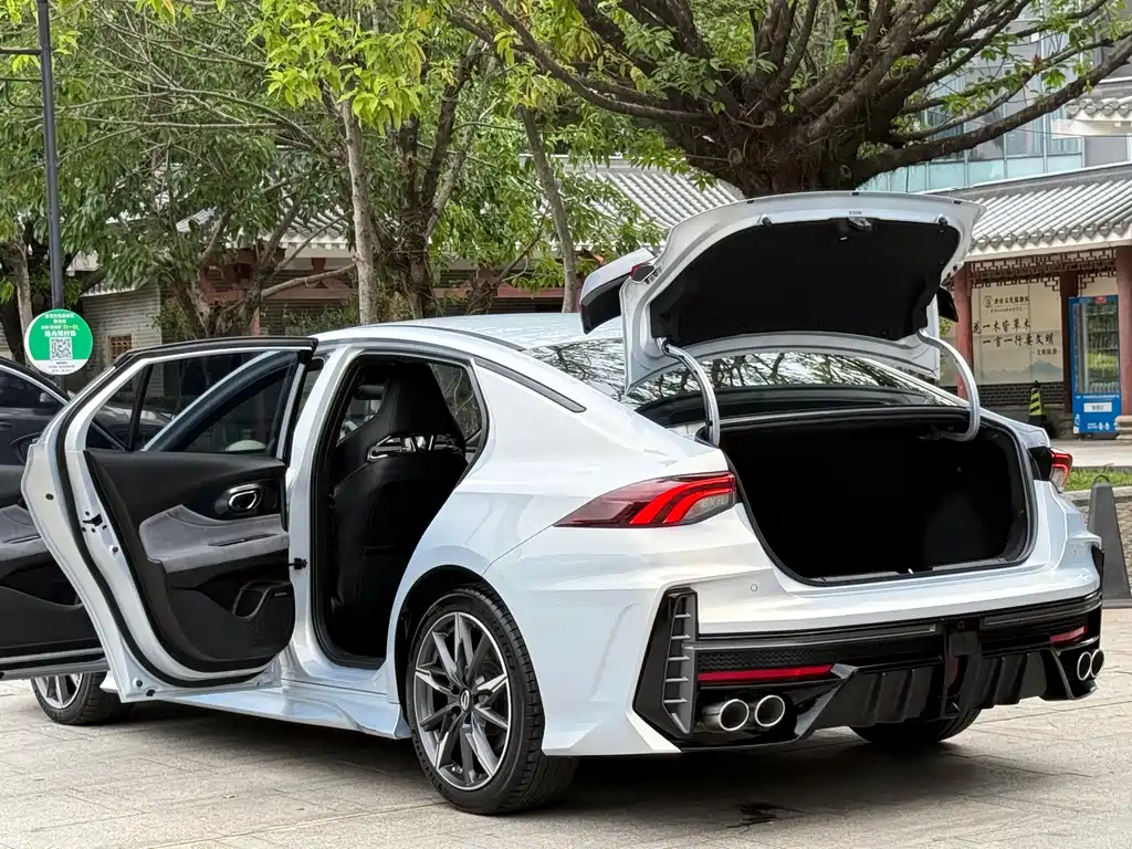 GAC Motor Shadow Leopard 2024 — фото 16