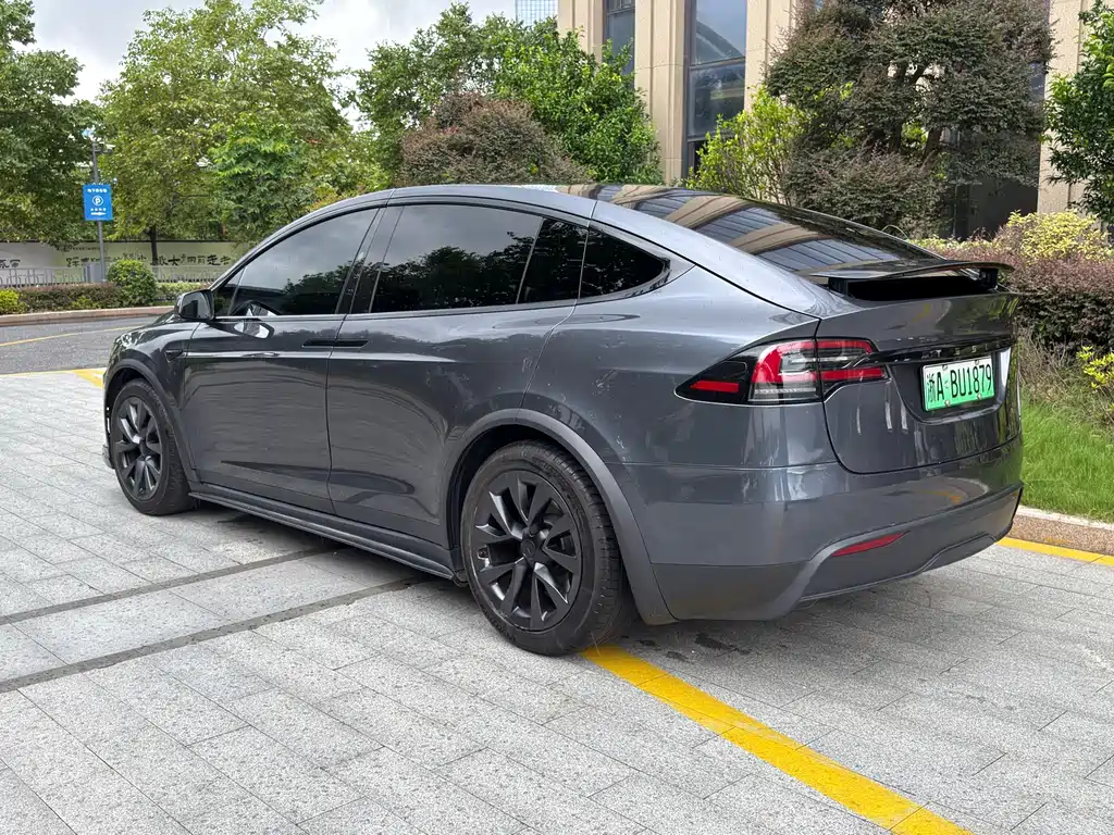Tesla Model X 2023 — фото 8