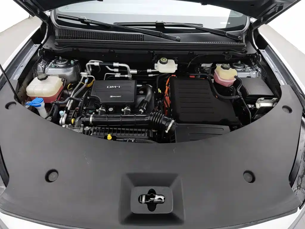 BYD Song Pro New Energy 2025 — фото 6