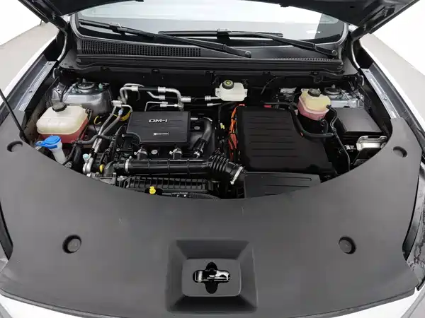 BYD Song Pro New Energy 2025