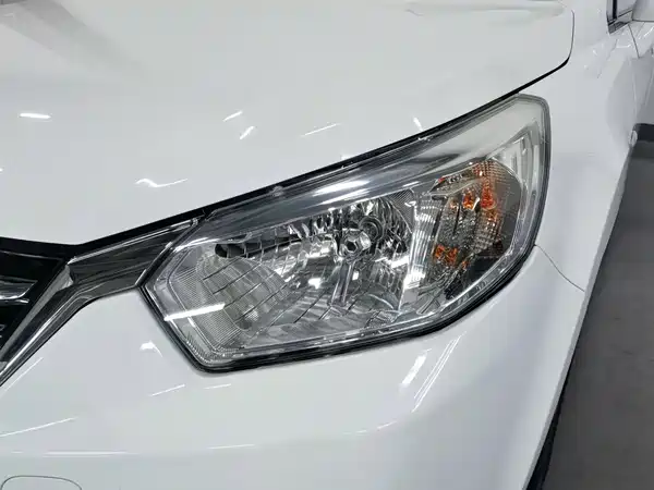 Venucia R50 2018