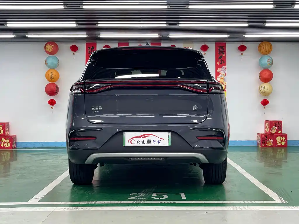 BYD Tang New Energy 2021