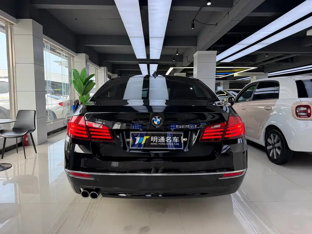 BMW 5 Series 2014
