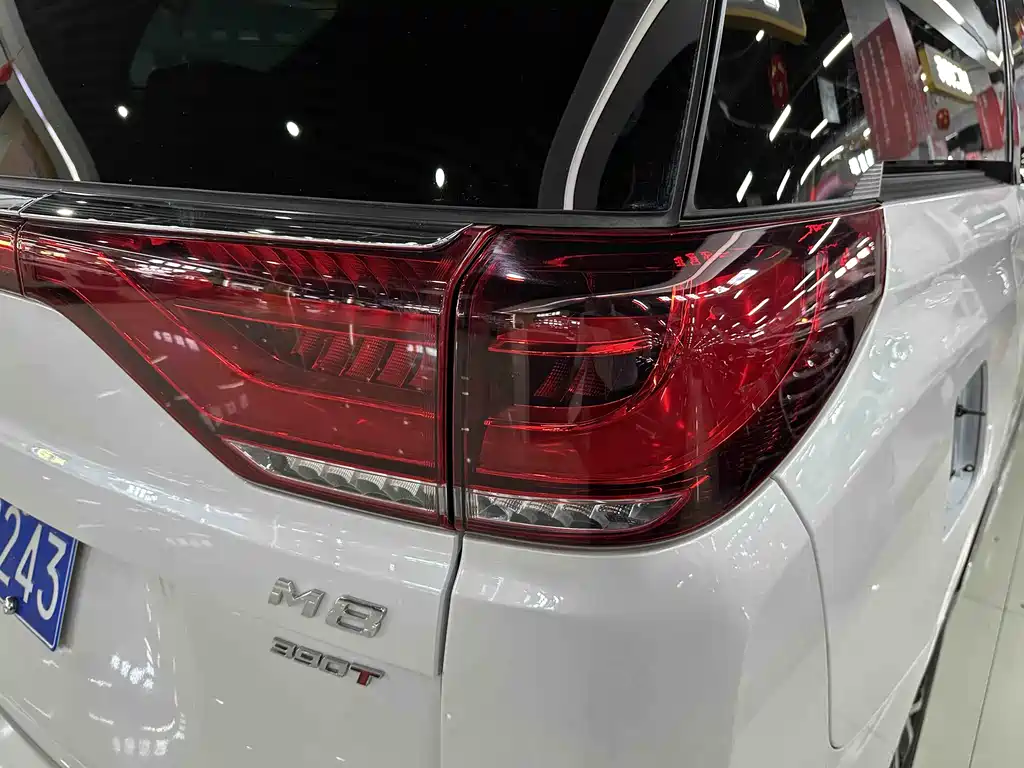 GAC Motor Trumpchi M8 2023 — фото 21