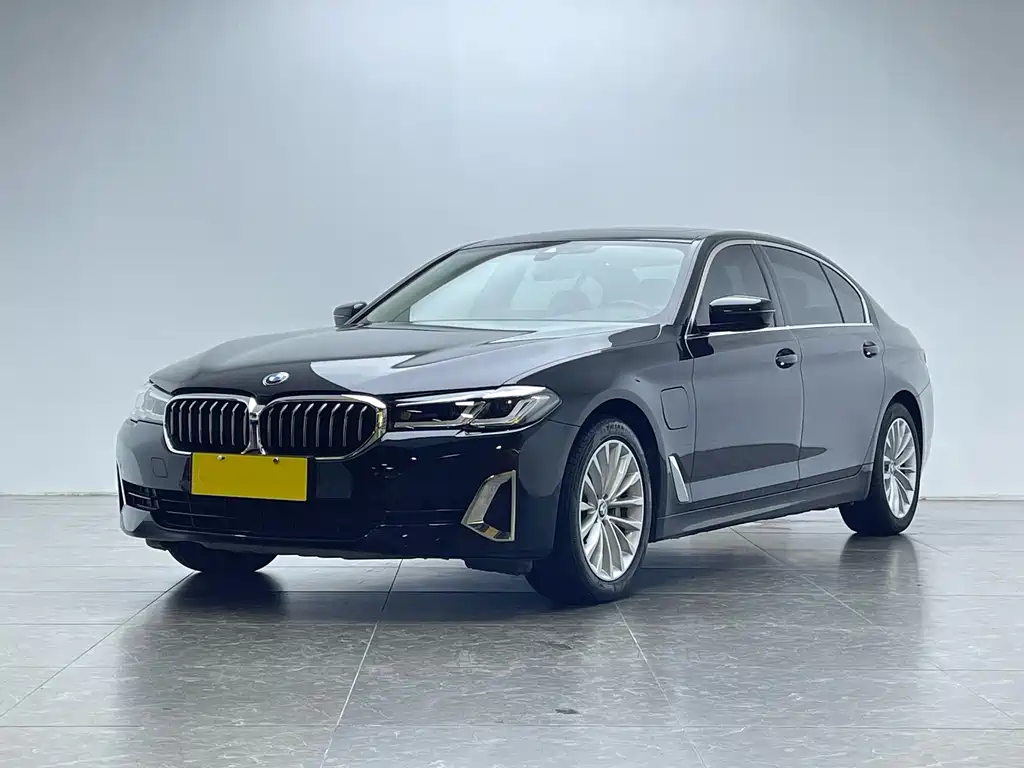 BMW 5 Series New Energy 2021