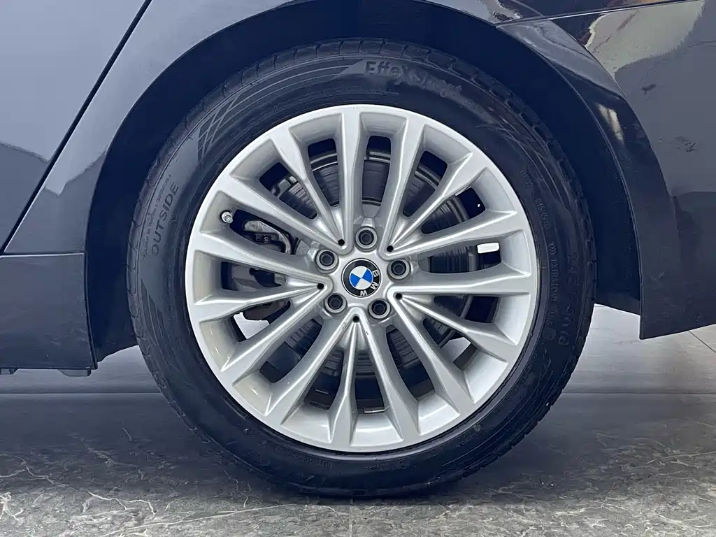 BMW 5 Series New Energy 2021