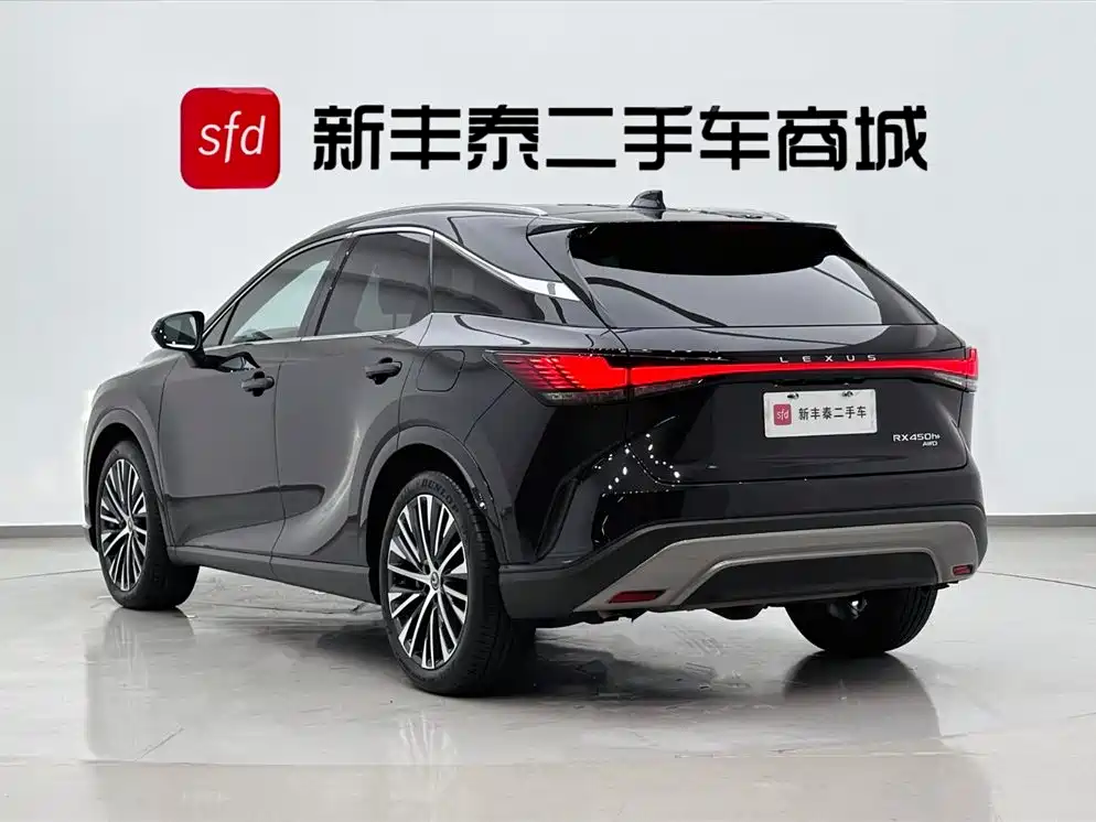 Lexus RX New Energy 2023 — фото 5