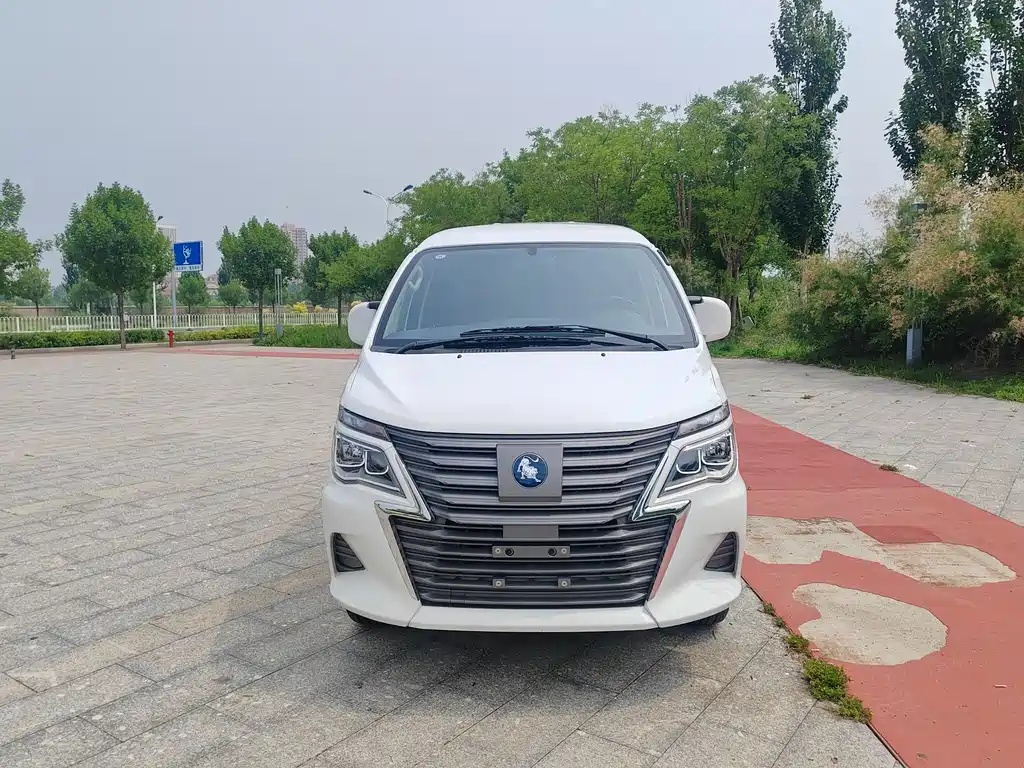Fengxing Lingzhi New Energy 2025