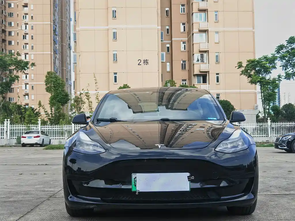 Tesla Model 3 2021 — фото 2
