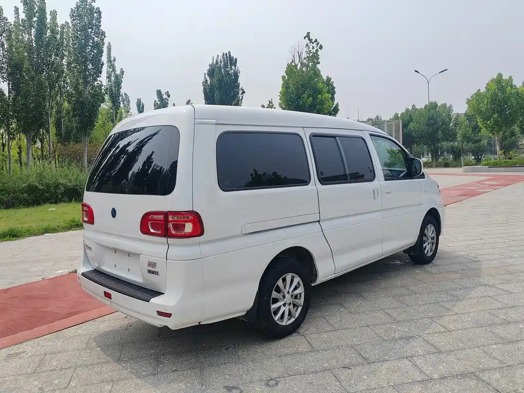Fengxing Lingzhi New Energy 2025