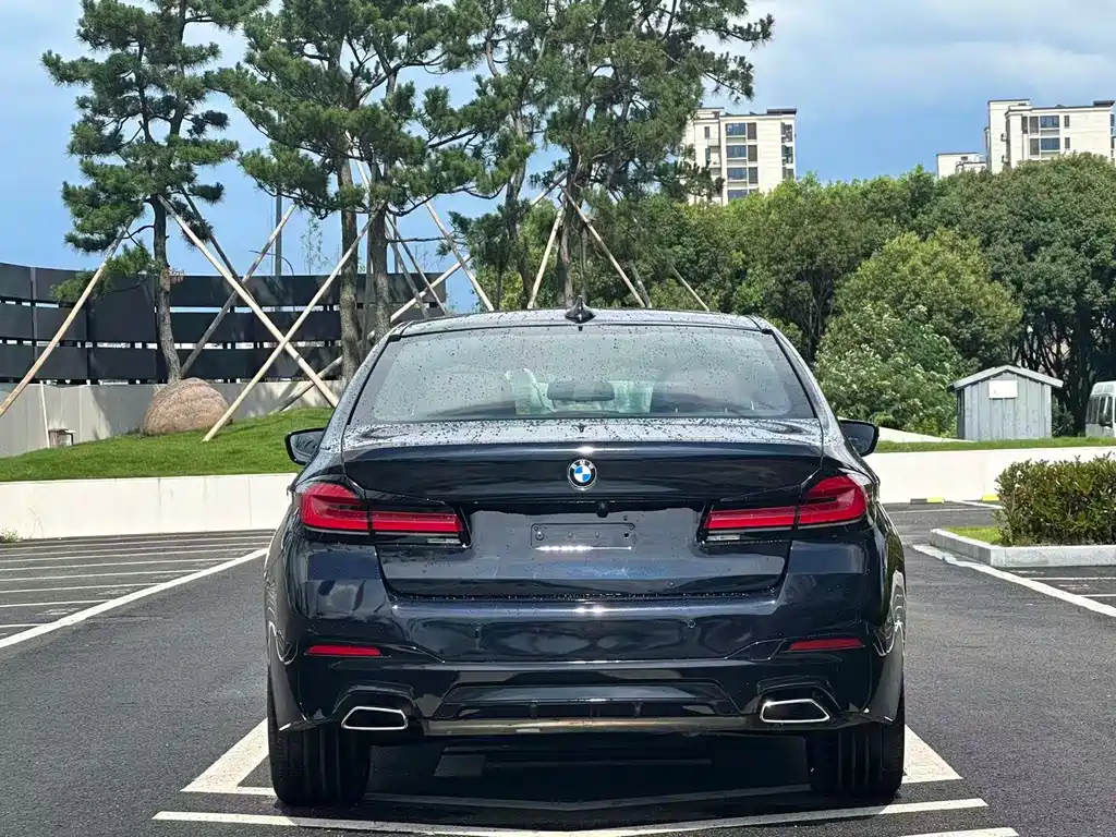 BMW 5 Series 2019 — фото 9