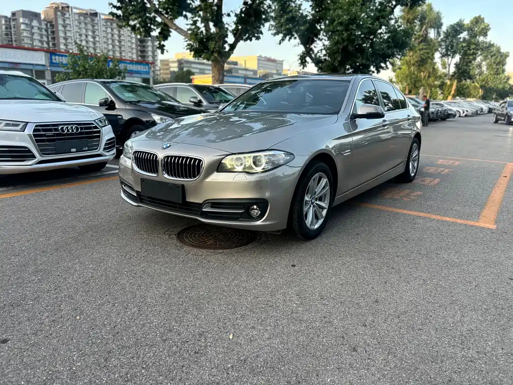 BMW 5 Series 2014 — фото 1
