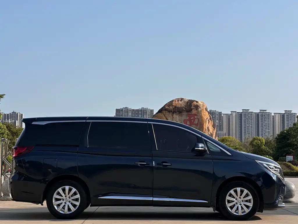 GAC Motor Trumpchi M8 2018 — фото 27