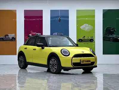 MINI MINI 2025