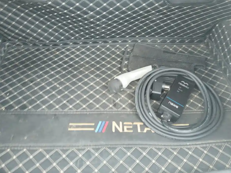 Neta V 2021