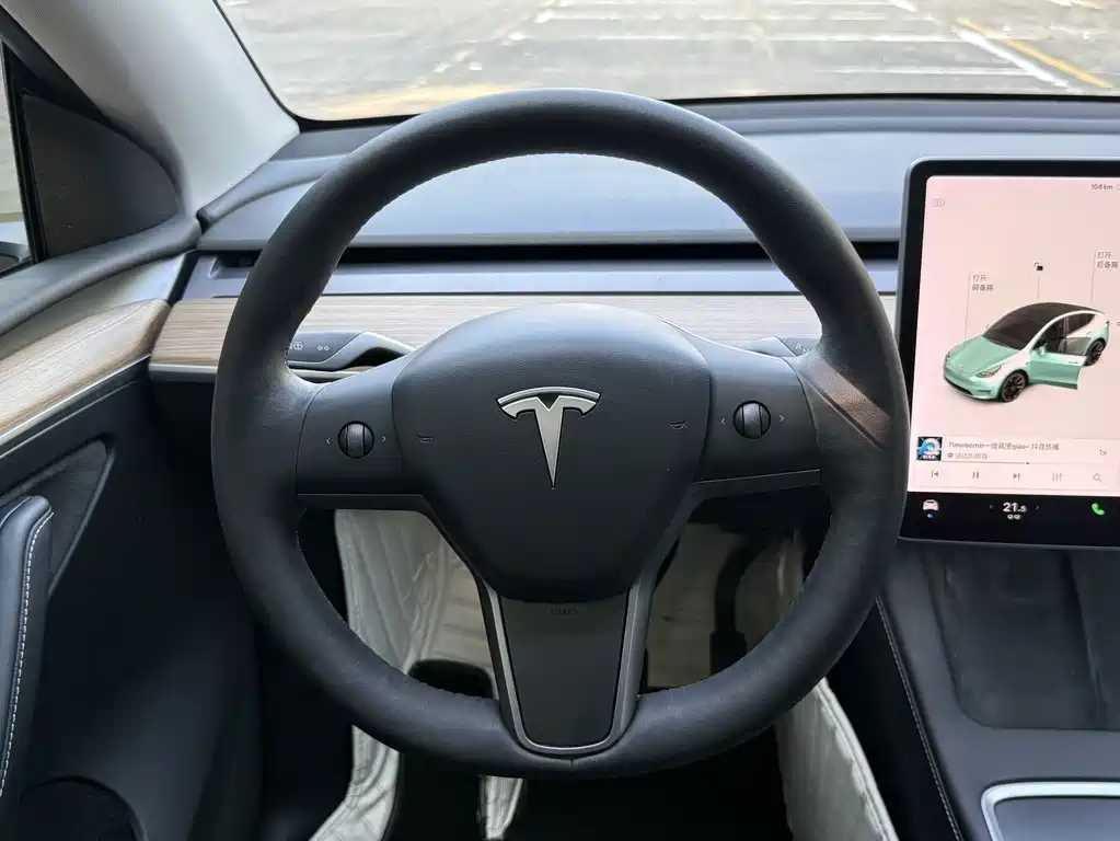 Tesla Model Y 2021 — фото 12