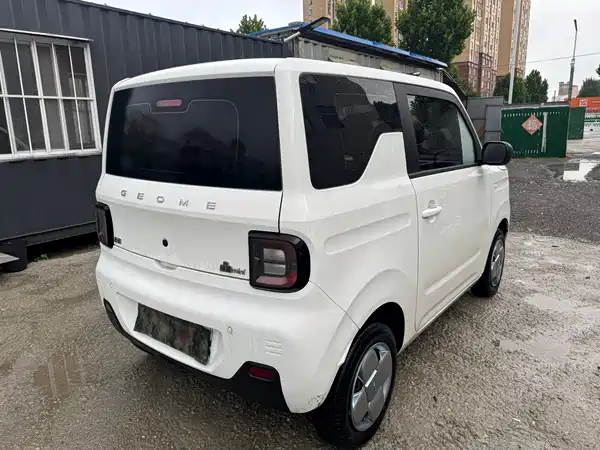 Geely Galaxy Panda 2024