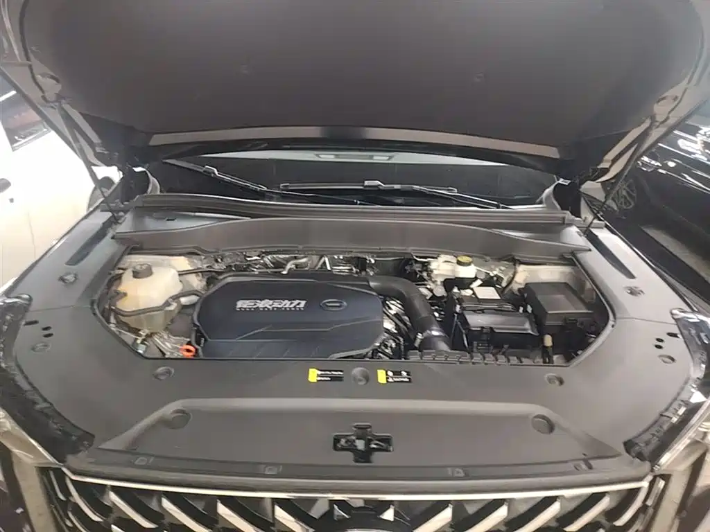 GAC Motor Trumpchi GS8 2024 — фото 20