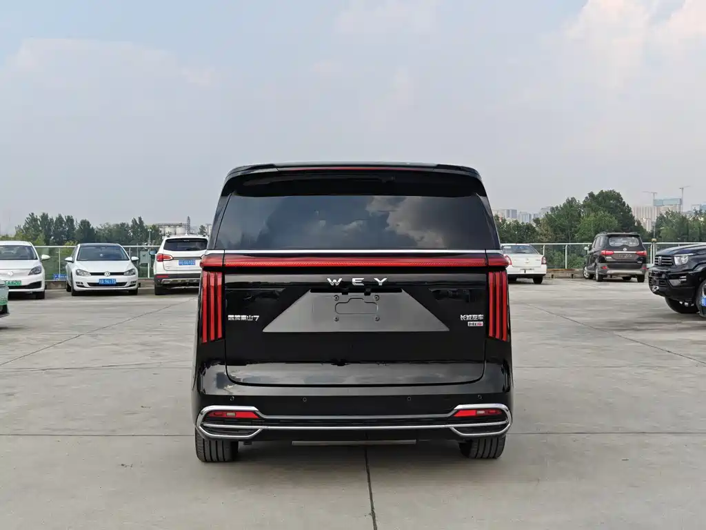 Wey Gaoshan 2025