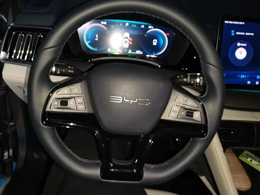 BYD Song PLUS New Energy 2024 — фото 15