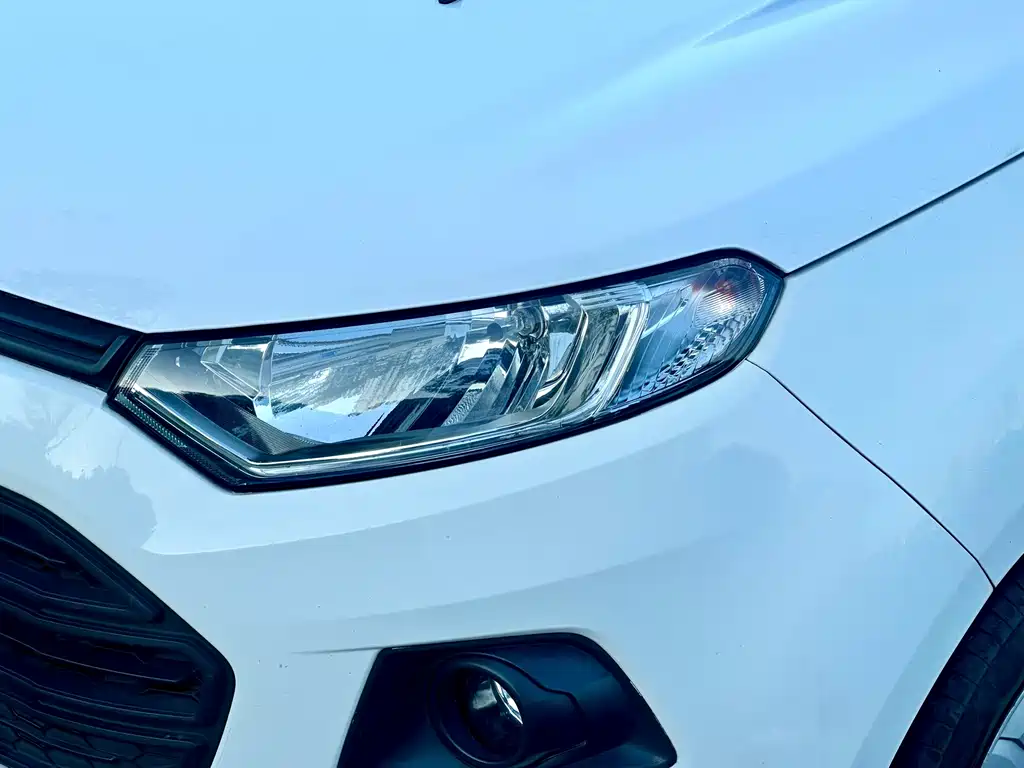 Ford EcoSport 2015 — фото 15