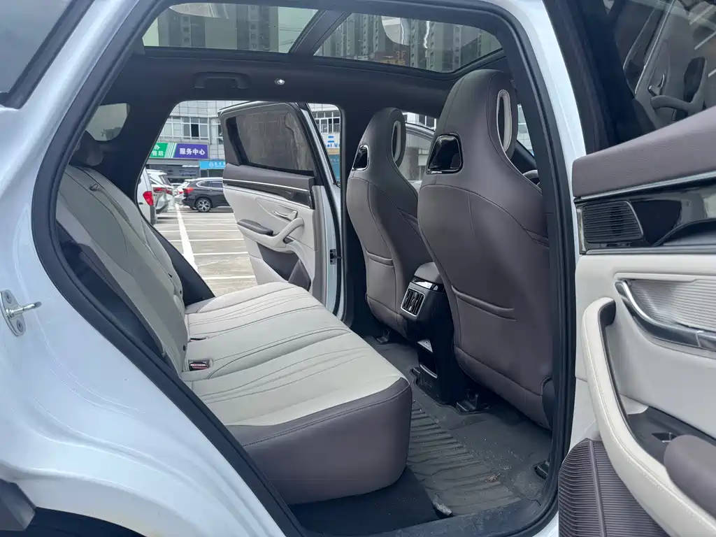 BYD PLUS New Energy 2025 — фото 11