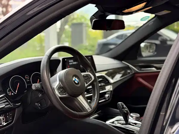 BMW 5 Series 2019