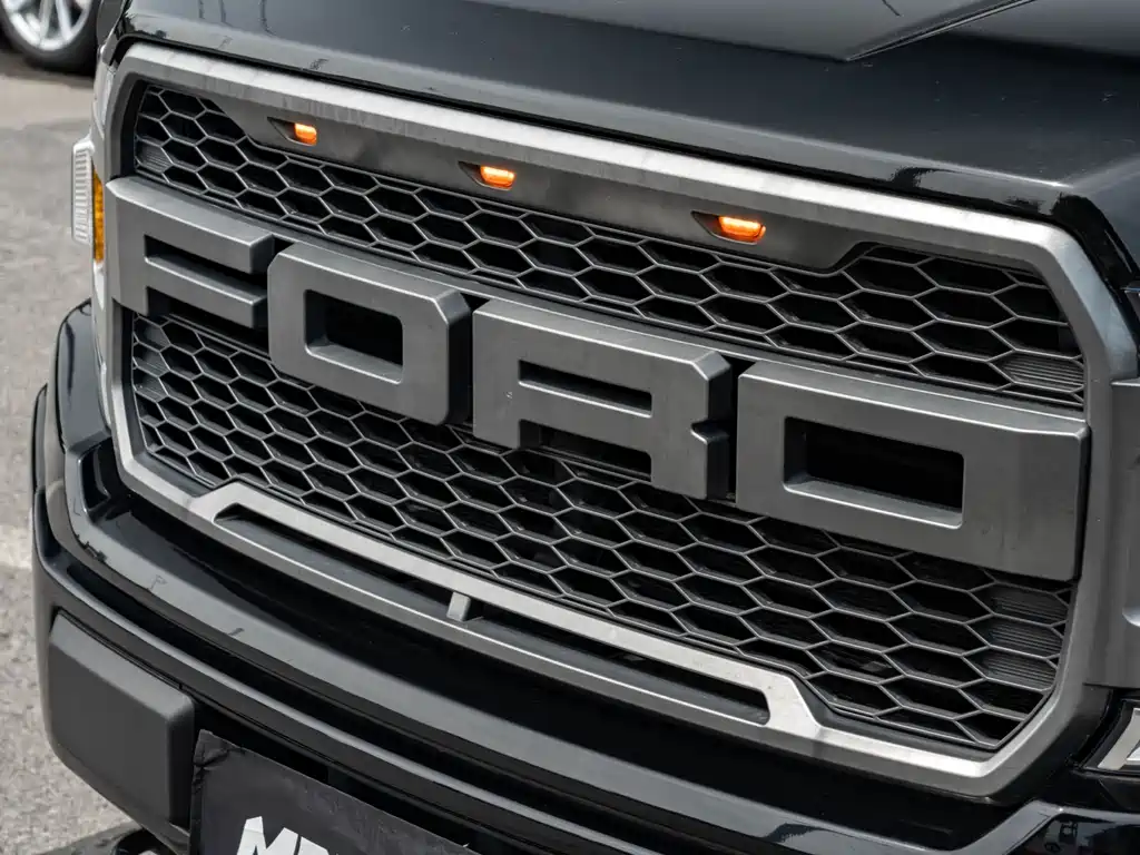 Ford F-150 Raptor 2019 — фото 4