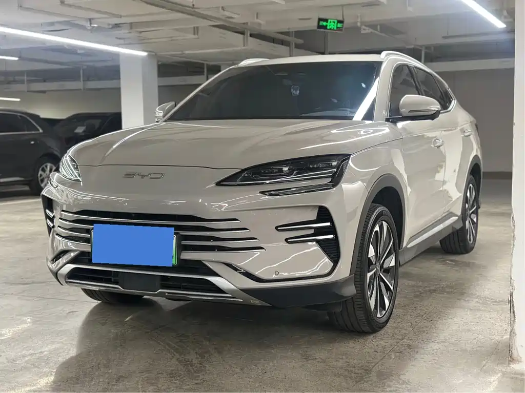 BYD PLUS New Energy 2024