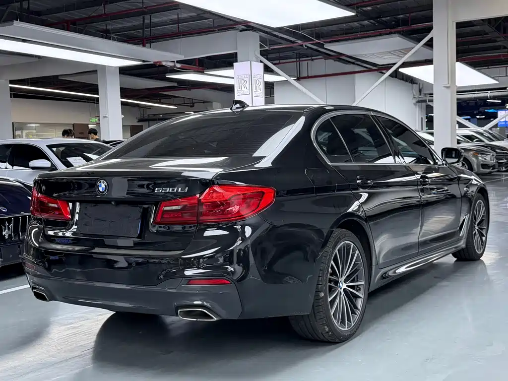 BMW 5 Series 2020 — фото 20