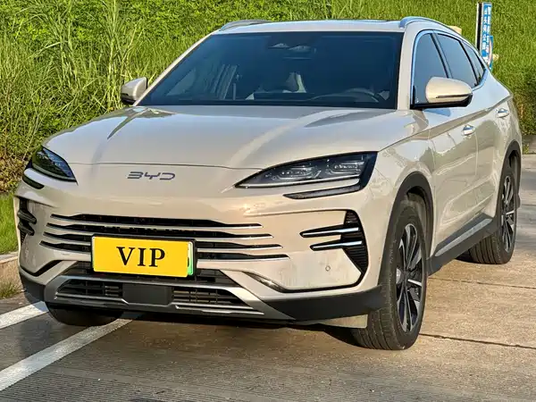 BYD Song PLUS New Energy 2024