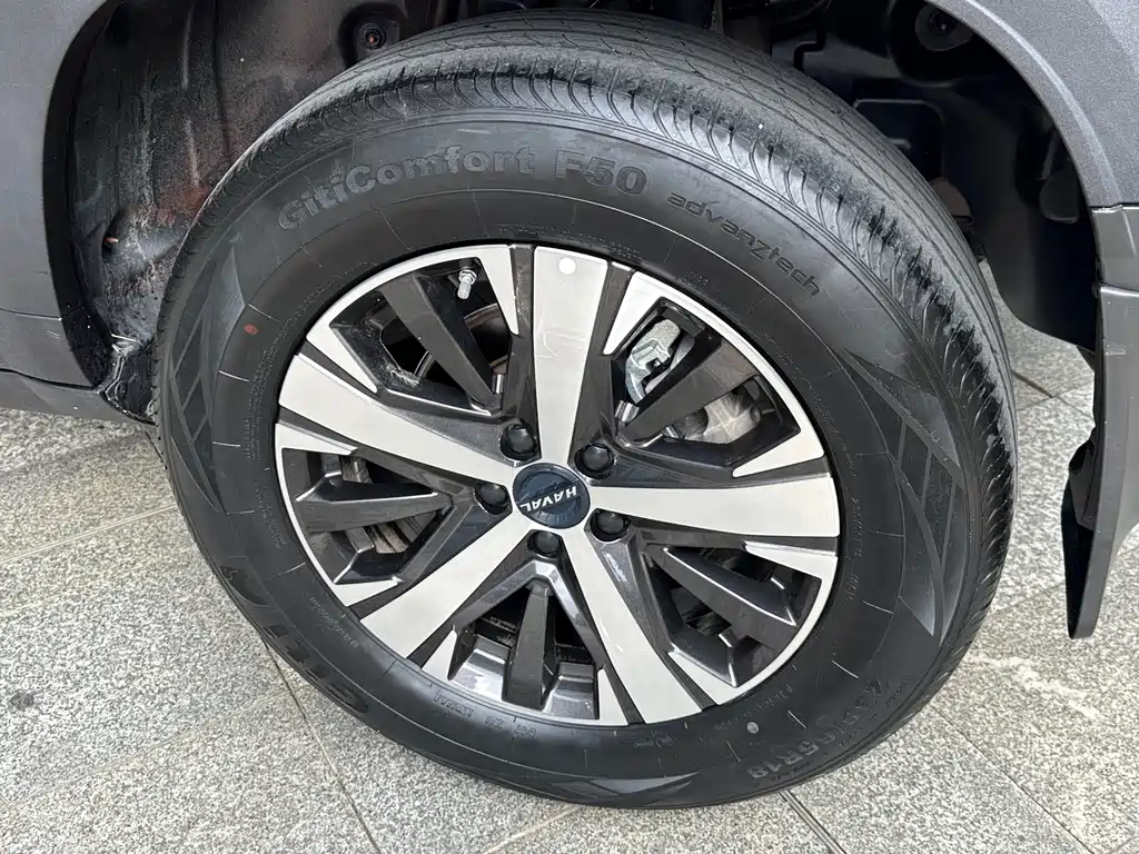 Haval Big Dog 2021 — фото 16