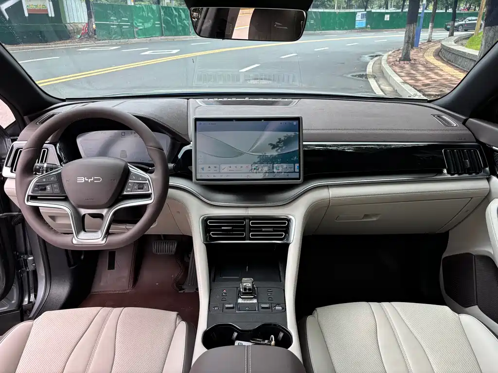 BYD PLUS New Energy 2025 — фото 19
