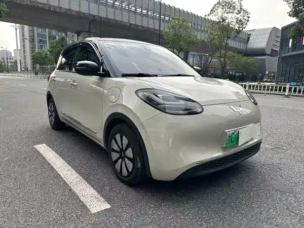 Wuling Bingo 2024