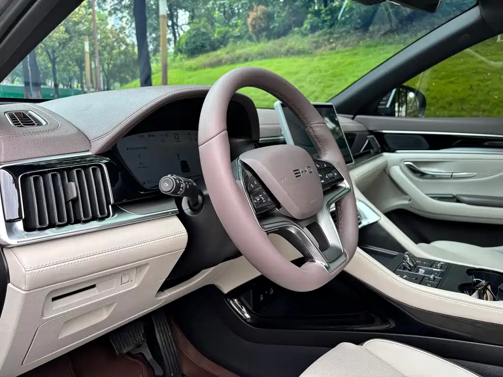 BYD PLUS New Energy 2025 — фото 10