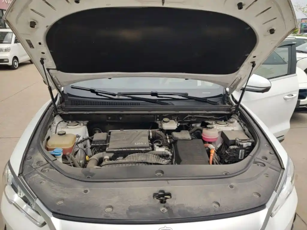 BYD Pro New Energy 2022 — фото 20