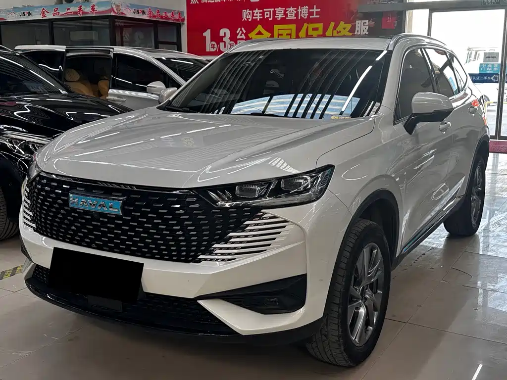 Haval H6 New Energy 2022 — фото 1