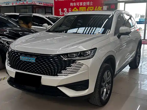 Haval H6 New Energy 2023