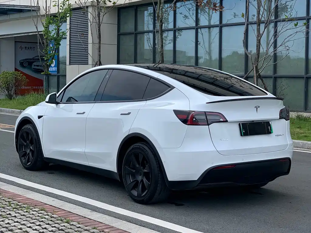 Tesla Model Y 2023 — фото 5