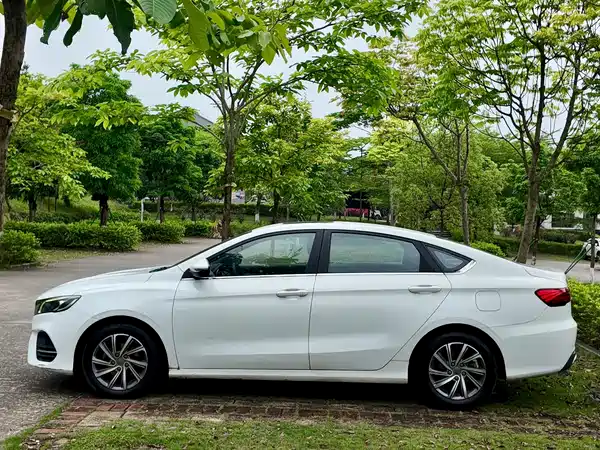 Geely Binrui 2019