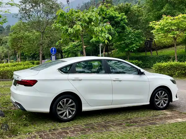 Geely Binrui 2019