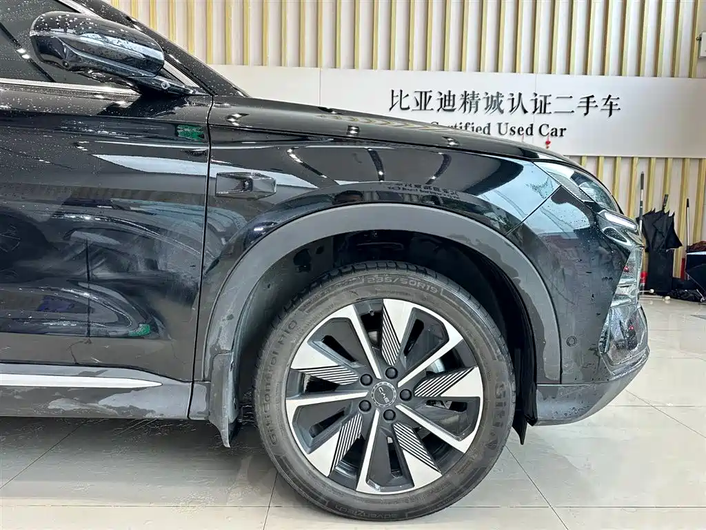 BYD PLUS New Energy 2025 — фото 11