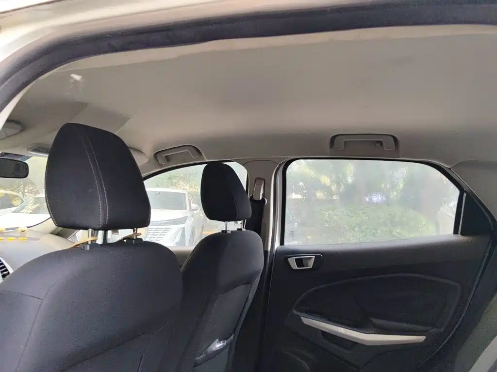 Ford Ecosport 2015 — фото 15