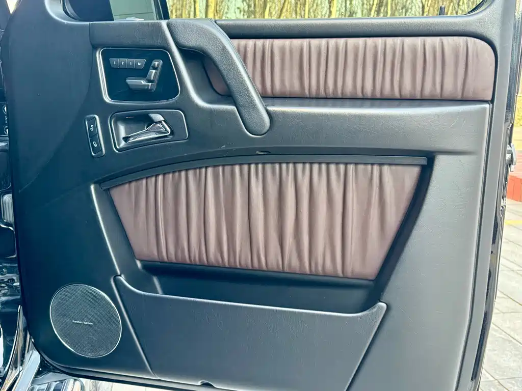 Mercedes-Benz G-Class 2017 — фото 13